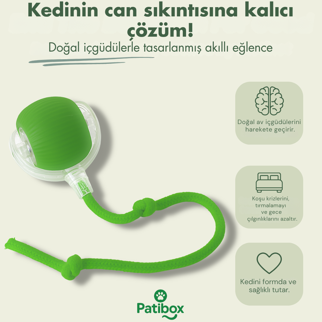Patibox Akıllı Kedi Oyuncak Topu - USB Şarjlı Hareketli