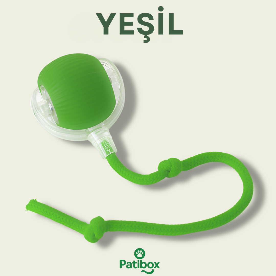 Patibox Akıllı Kedi Oyuncak Topu - USB Şarjlı Hareketli