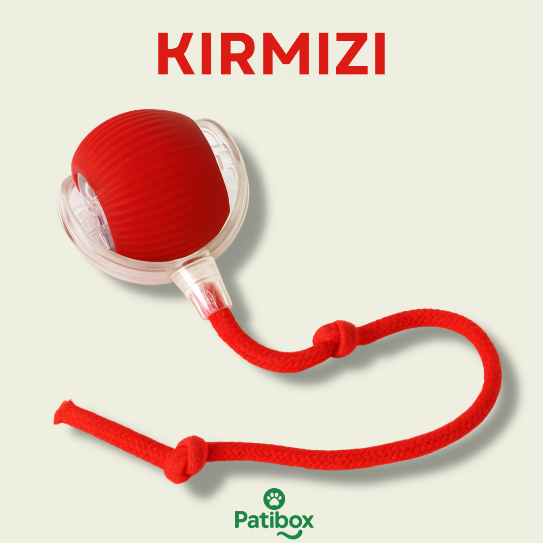 Patibox Akıllı Kedi Oyuncak Topu - USB Şarjlı Hareketli
