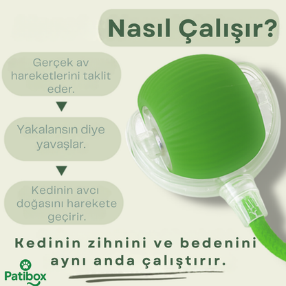 Patibox Akıllı Kedi Oyuncak Topu - USB Şarjlı Hareketli