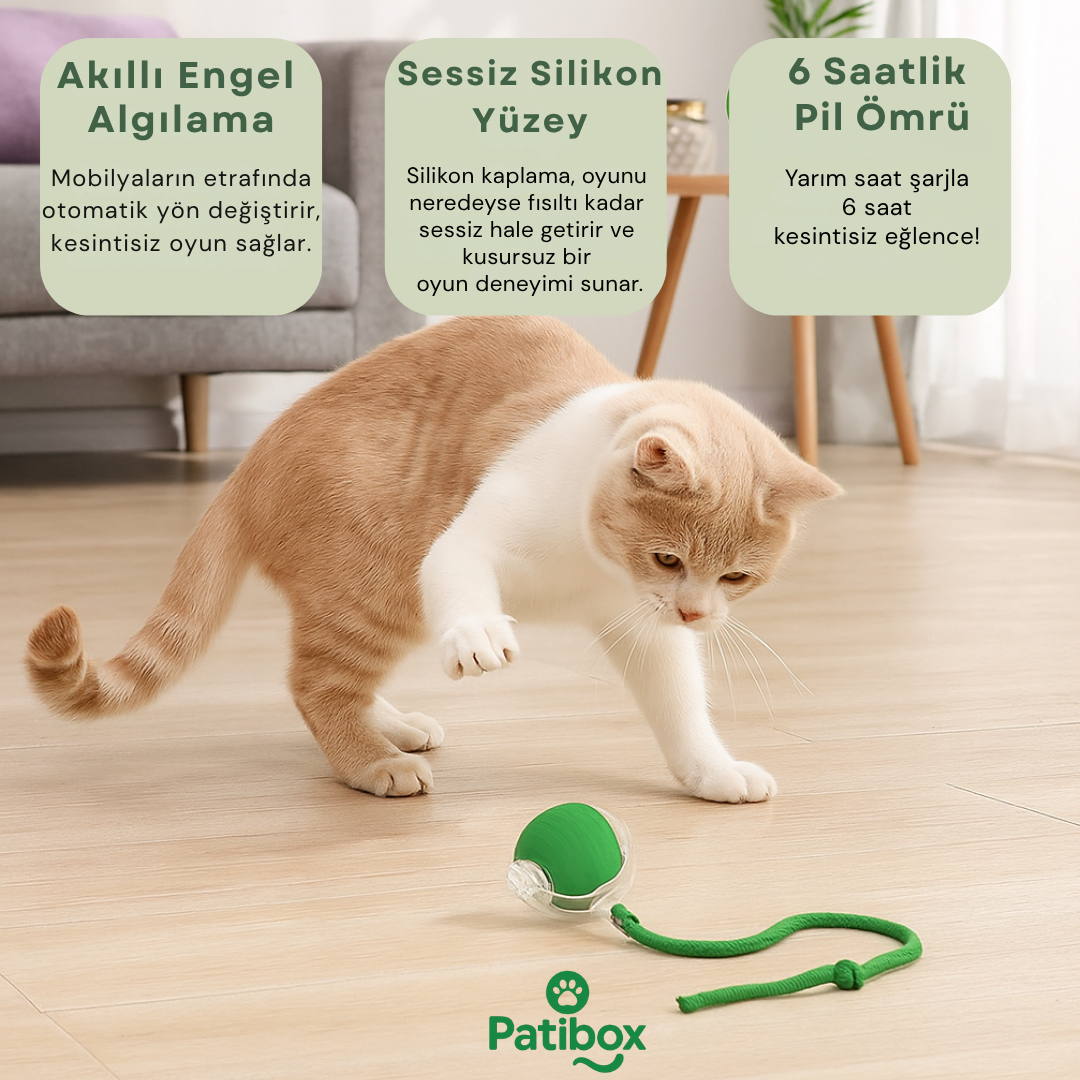 Patibox Akıllı Kedi Oyuncak Topu - USB Şarjlı Hareketli